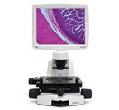 13297_Microscopy