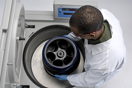 Man placing a rotor for bottles in a centrifuge