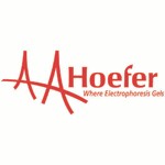 hoefer