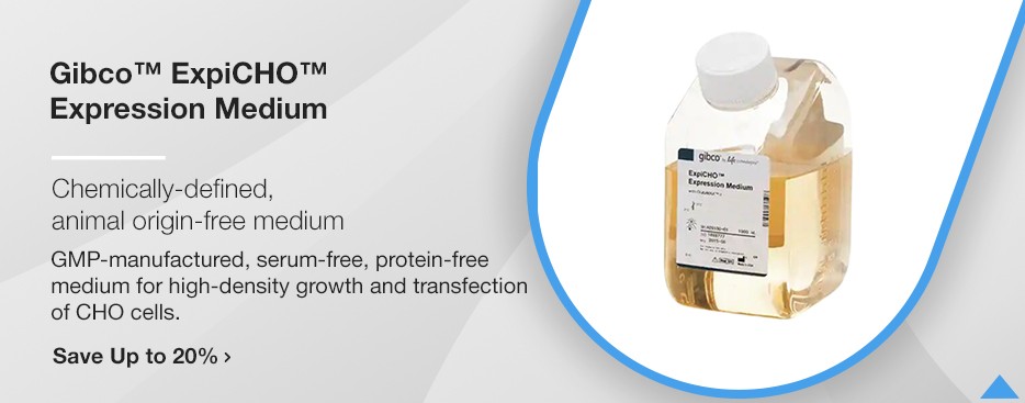 Gibco™ ExpiCHO™ Expression Medium