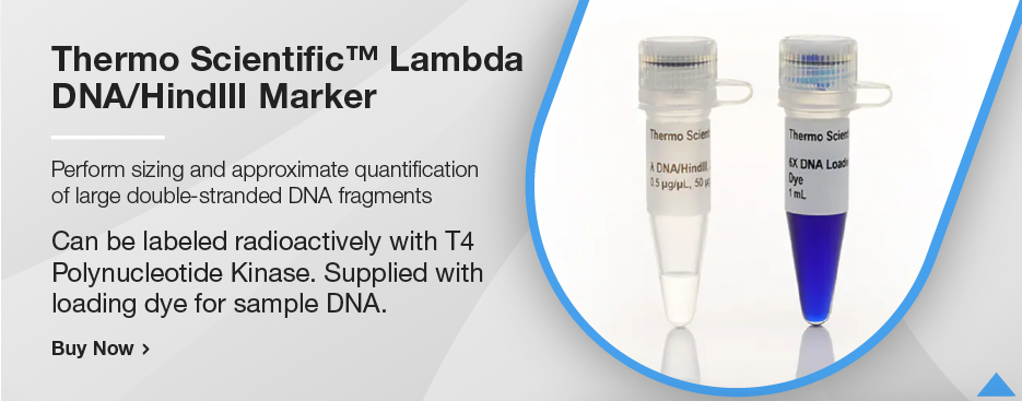 Thermo Scientific™ Lambda DNA/HindIII Marker