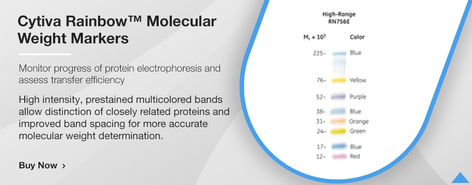 Cytiva Rainbow™ Molecular Weight Markers