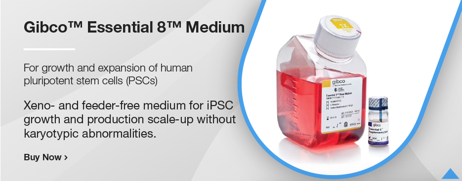 Gibco™ Essential 8™ Medium