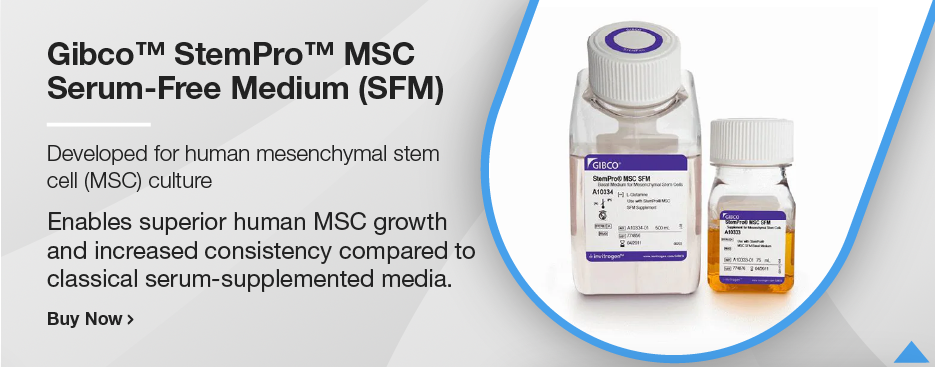 Gibco™ StemPro™ MSC Serum-Free Medium (SFM)