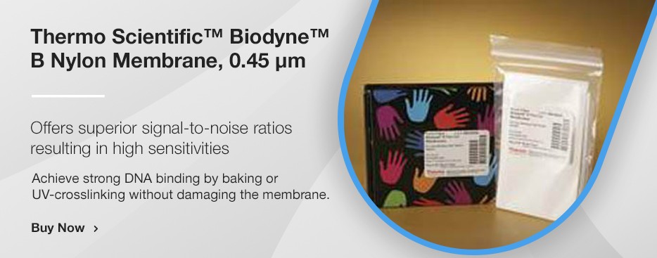 Thermo Scientific™ Biodyne™ B Nylon Membrane, 0.45 μm, 8 cm x 12 cm