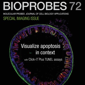 bioprobes