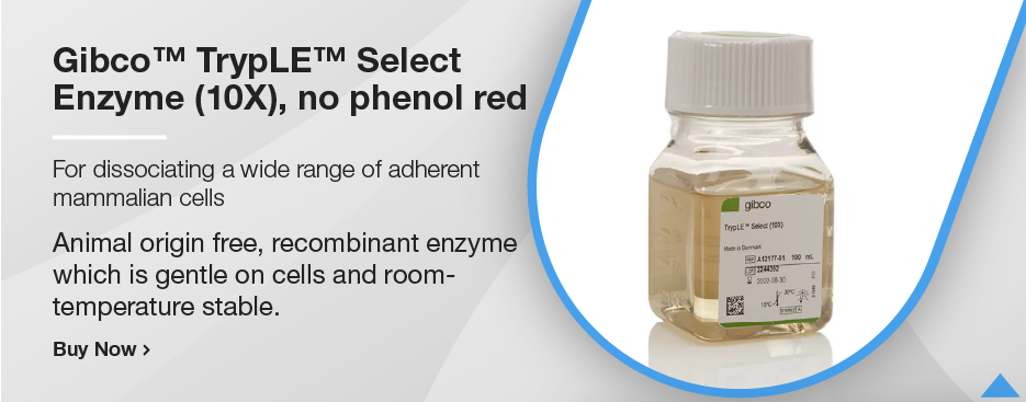 Gibco™ TrypLE™ Select Enzyme (10X), no phenol red