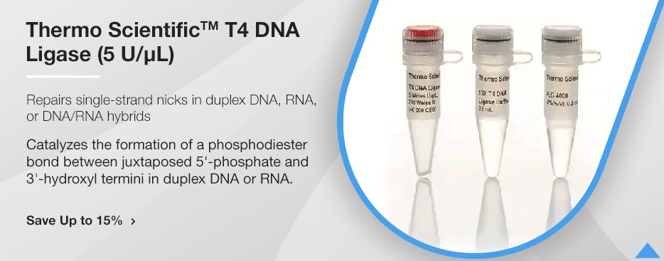 Invitrogen