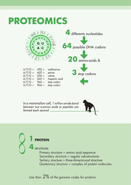 Proteomics in numbers